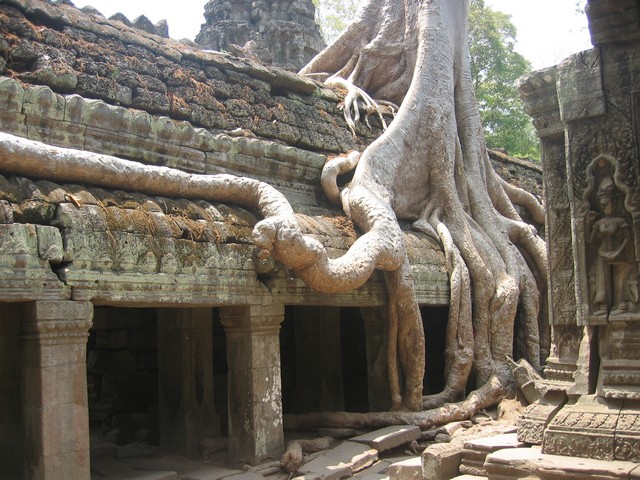  Angkor Wat - Camboda