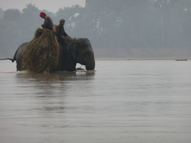  Chitwan National Park - Nepal