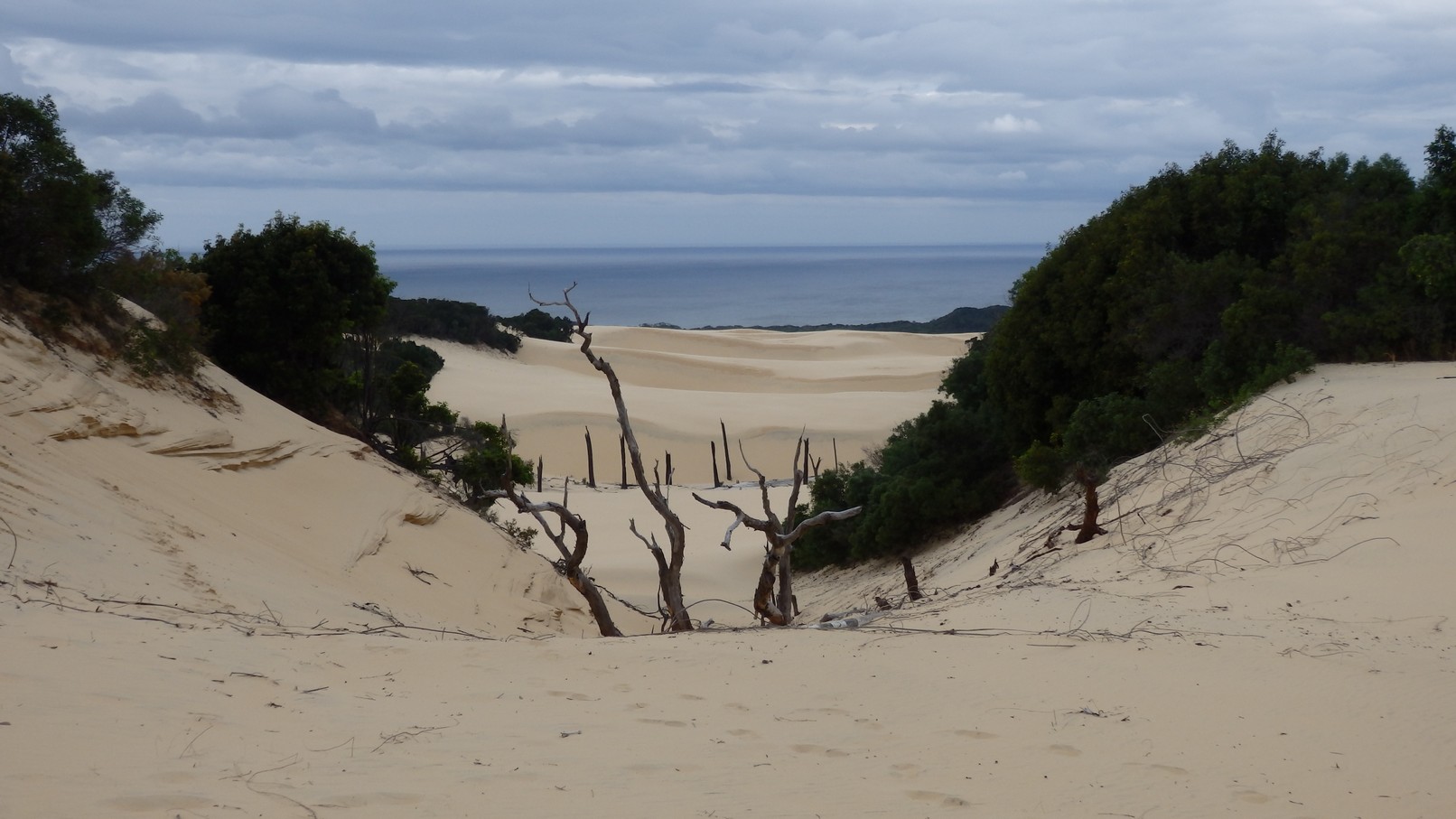 Badjala Sandblow on the Fraser Island Great Walk
