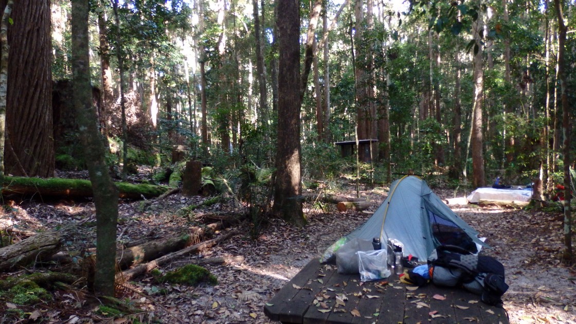 Central Station campground on the Fraser Island Great Walk